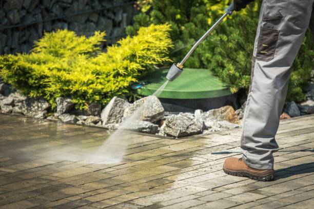 Best Roof Washing  in Brookdale, NJ